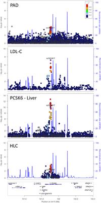 Multi-Trait Genome-Wide Association Study of Atherosclerosis Detects Novel Pleiotropic Loci